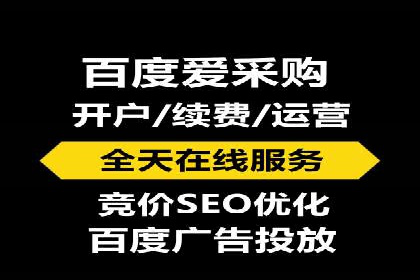 SEM托管服务，成功案例展示转化优势